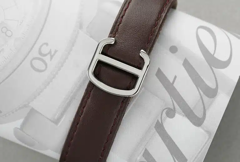 Cartier Tank Solo Panther/Leopard Dial Stainless Steel Watch Model 3170 – image 5