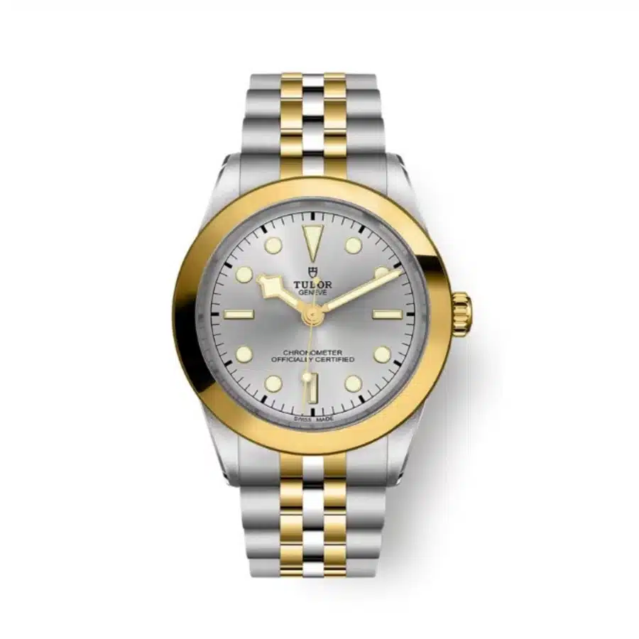 Tudor Black Bay 39mm M79663-0002  Gold & Steel Watch Silver Dial 2024