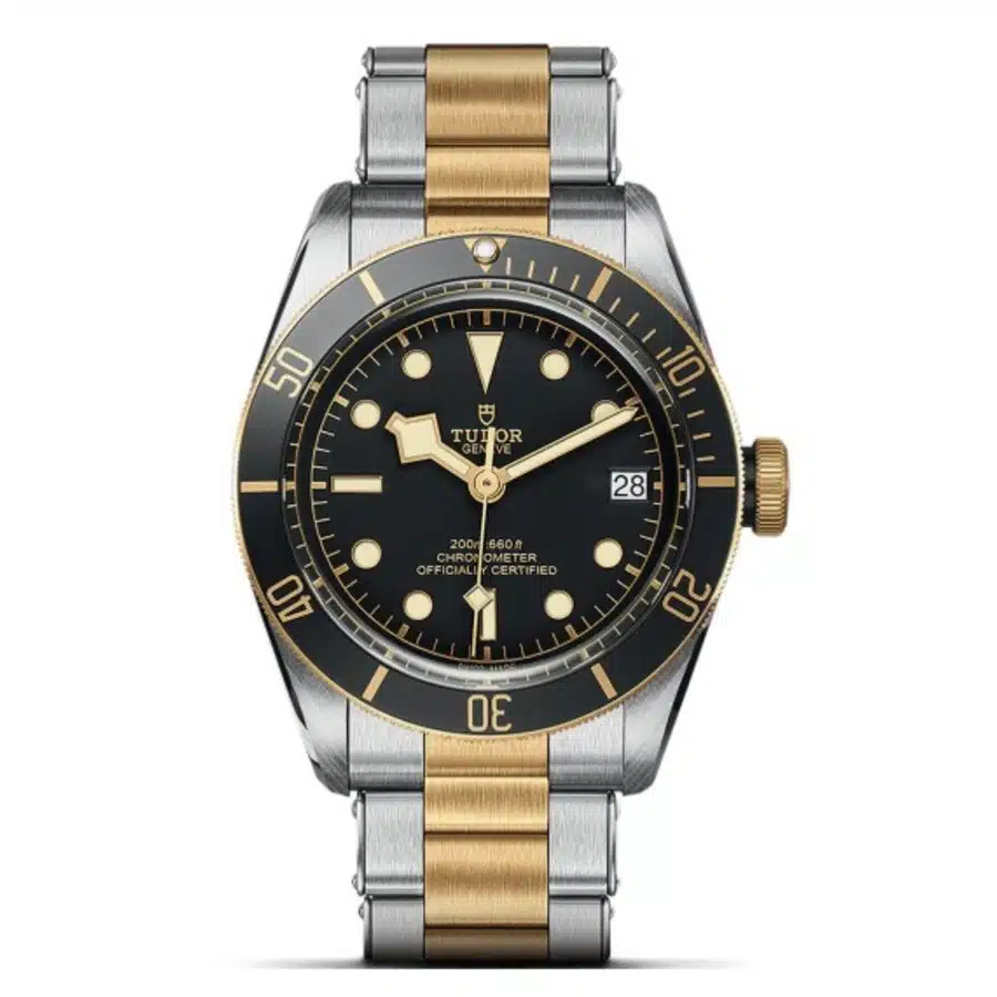 Tudor Black Bay Heritage M79733N-0008 Black Dial 41mm Stainless Steel & Yellow Gold Watch 2024