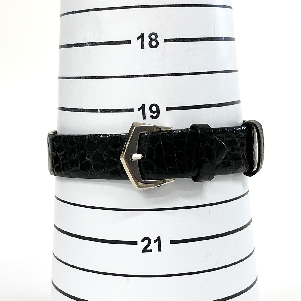 Patek Philippe Calatrava 3919G-001 White Gold With Black Leather Watch Black Roman Dial 2001