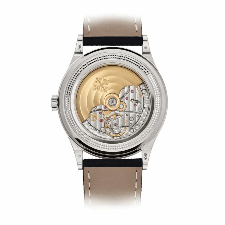 Patek Philippe Grand Complications 6159G-001 Gray Dial - Self-Winding Watch – image 2