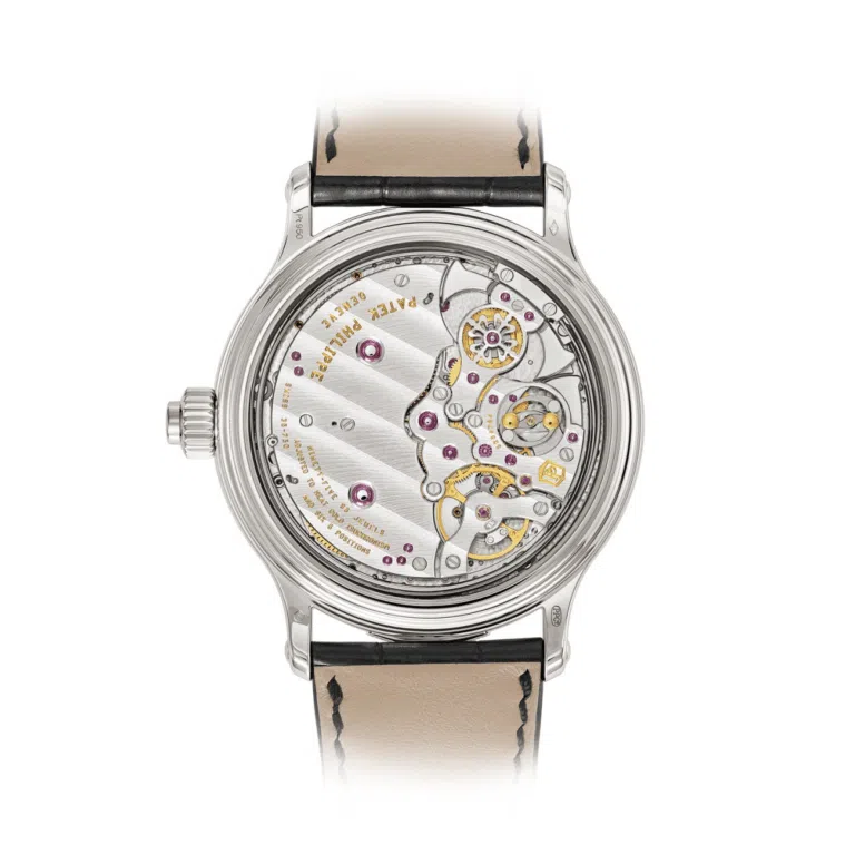 Patek Philippe Grand Complications 6301P-001 Black Dial Platinum Watch – image 2