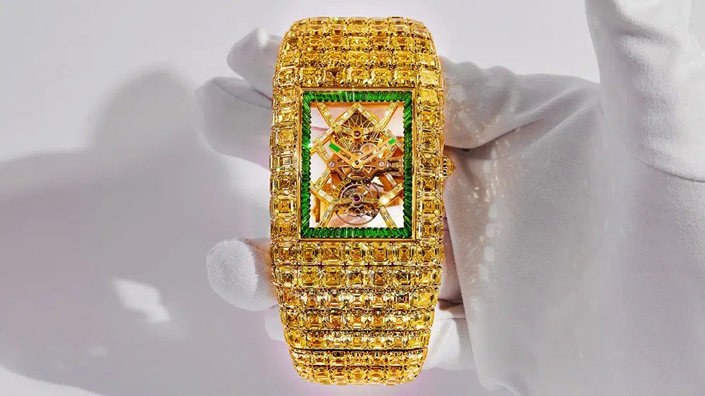 Rare expensive watch
