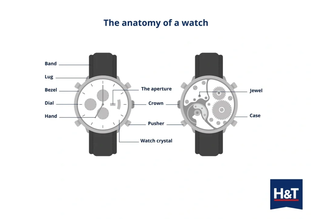 anatomy of a watch