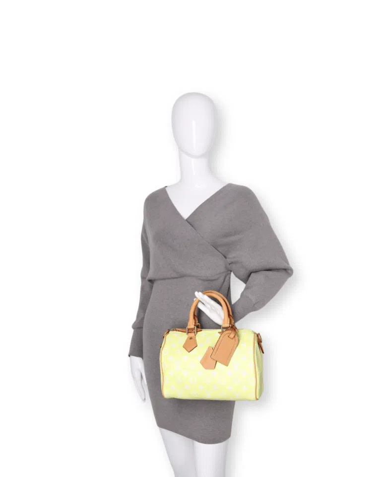 Louis Vuitton - Speedy P9 Bandoulière 25 (Brand New) – image 2