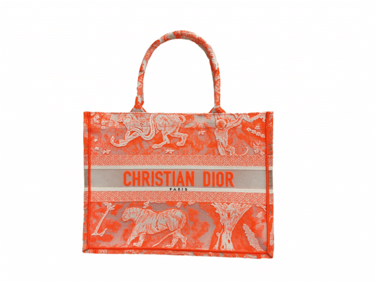 Dior - Medium Toile de Jouy Book Tote