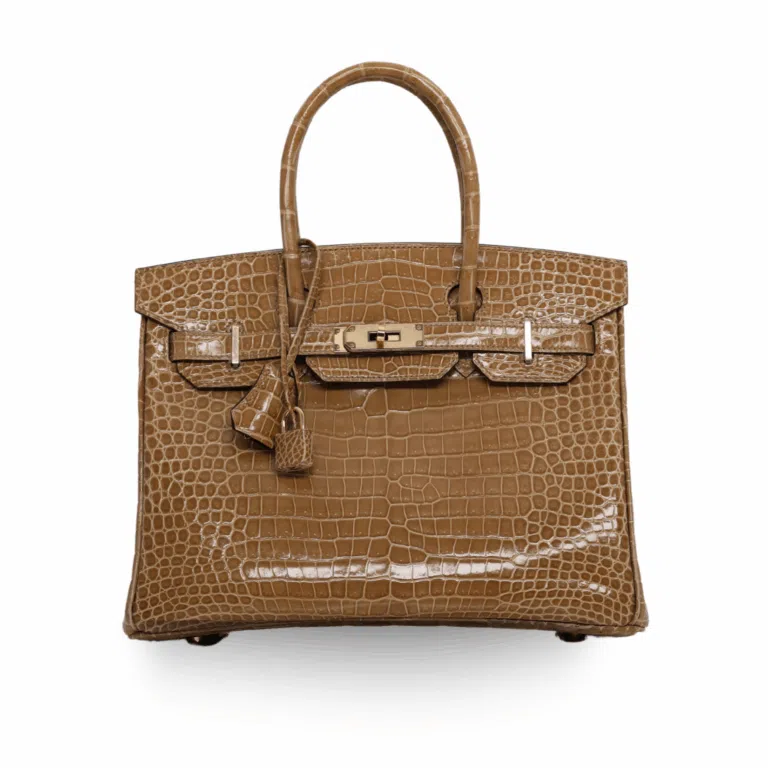 Hermes - Crocodile 30cm Birkin Bag (Brand New)