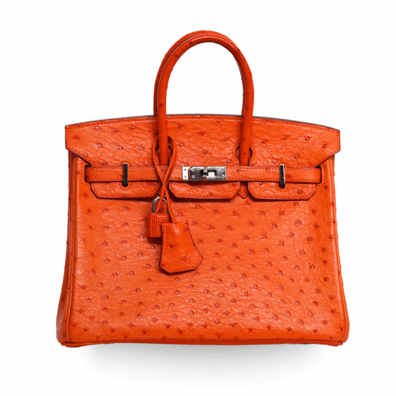 Hermes - Tangerine Ostrich Birkin 25 Palladium Hardware