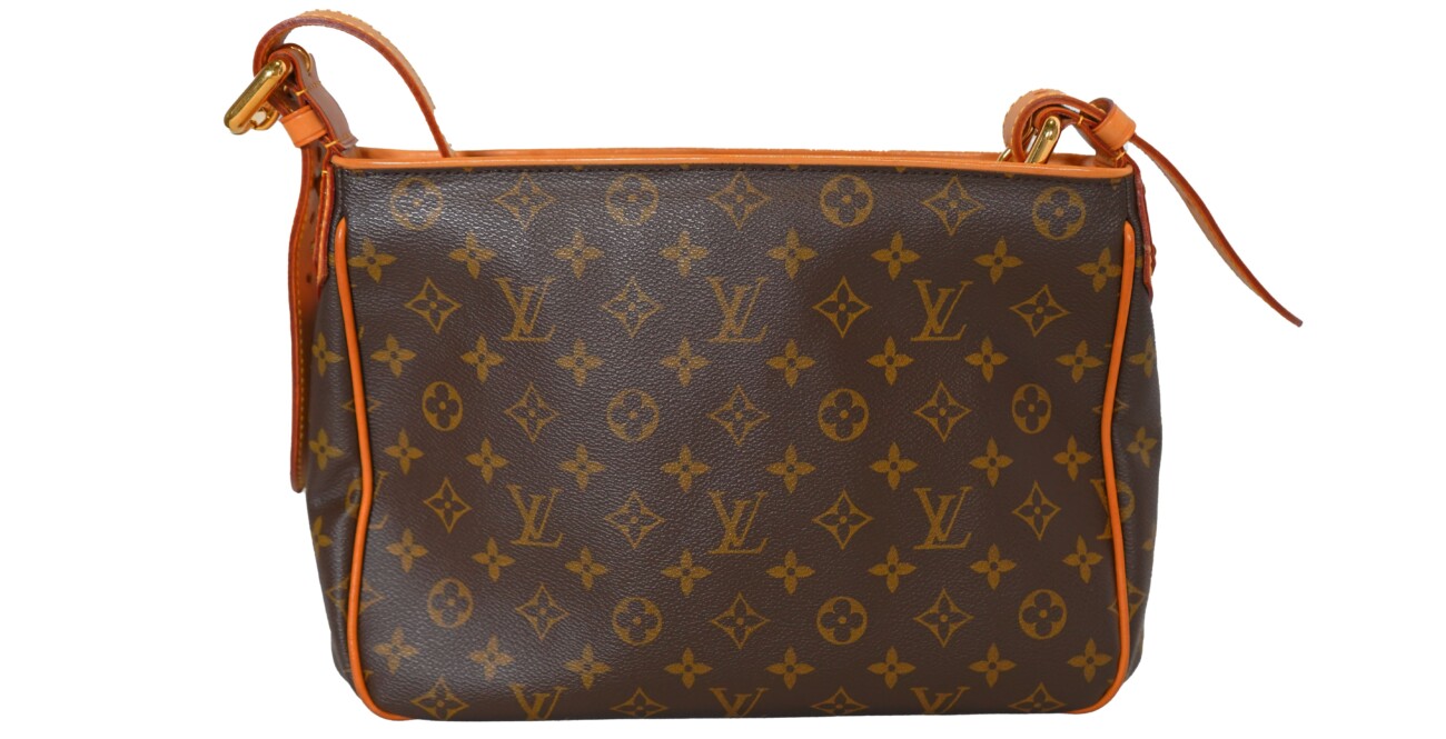 Louis Vuitton Monogram Hudson GM